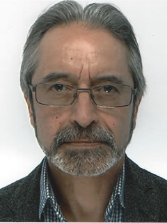 Prof Ali Hessami